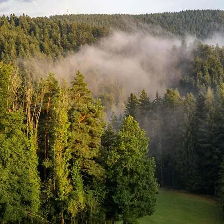 Tatil Evi Cosy At The Edge Of The Forest Mühlenbach