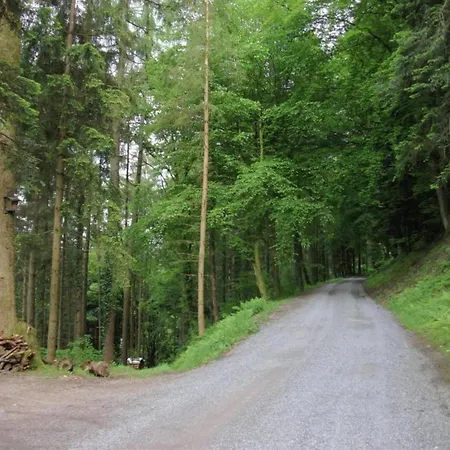 Tatil Evi Cosy At The Edge Of The Forest Mühlenbach