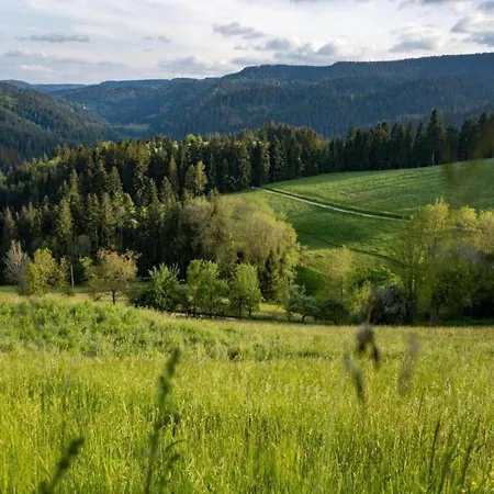 Cosy At The Edge Of The Forest Сasa de vacaciones Mühlenbach