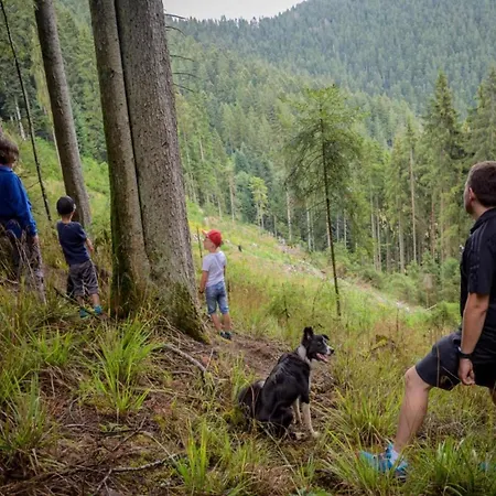 Сasa de vacaciones Cosy At The Edge Of The Forest *