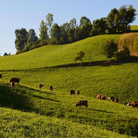 Cosy At The Edge Of The Forest