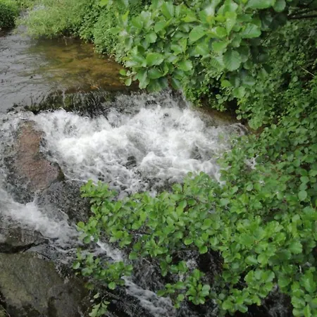 Cosy At The Edge Of The Forest Сasa de vacaciones Mühlenbach